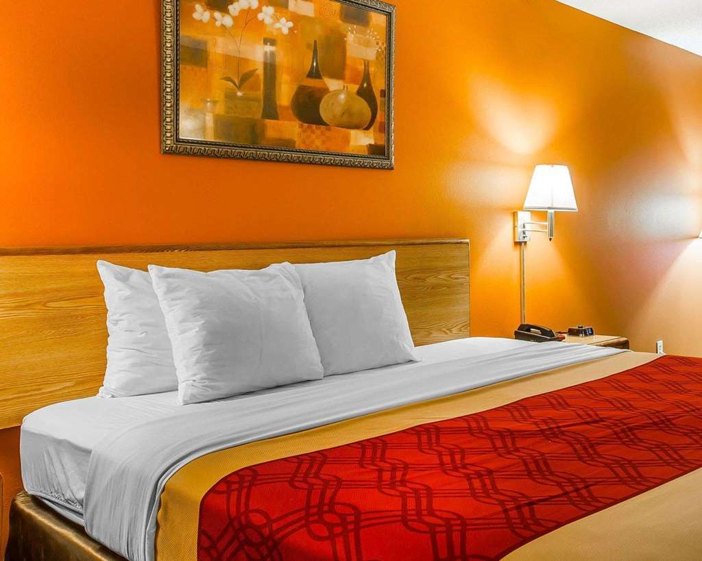 Econo Lodge Kingsland Bilik gambar